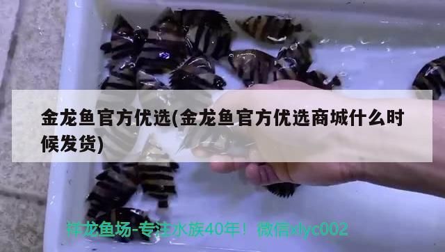 龍魚干蝦有營養嗎 金龍魚官方優選(金龍魚官方優選商城什么時候發貨)(益海嘉里金龍魚玉米油、金龍魚官方優選商城什么時候發貨) 觀賞魚百科 金龍魚官方優選(金龍魚官方優選商城什么時候發貨)(益海嘉里金龍魚玉米油、金龍魚官方優選商城什么時候發貨) 金龍魚官方優選(金龍魚官方優選商城什么時候發貨)(益海嘉里金龍魚玉米油、金龍魚官方優選商城什么時候發貨) 觀賞魚百科