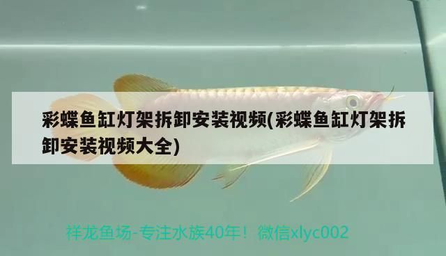 彩蝶魚缸燈架拆卸安裝視頻(彩蝶魚缸燈架拆卸安裝視頻大全)（彩蝶魚缸燈怎么拆下來？）