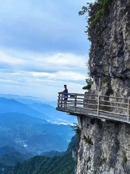 涼山州龍頭山 觀賞魚百科 第3張 涼山州龍頭山 涼山州龍頭山 觀賞魚百科 第3張