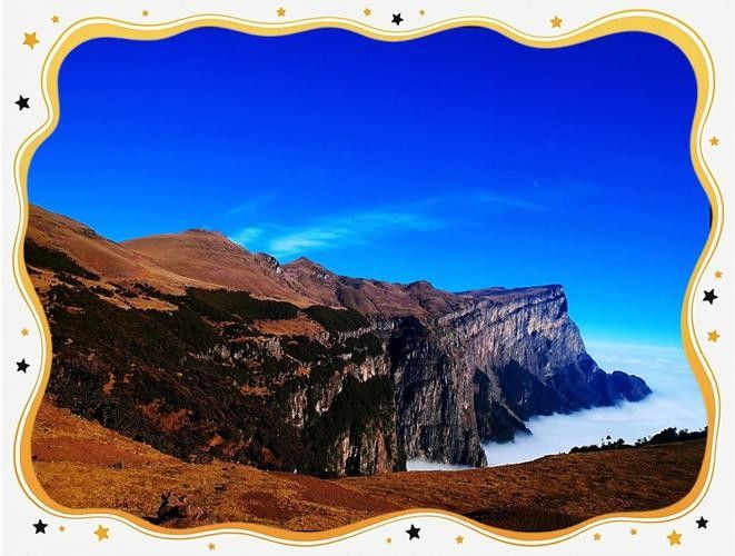涼山州龍頭山 觀賞魚百科 第2張 涼山州龍頭山 涼山州龍頭山 觀賞魚百科 第2張