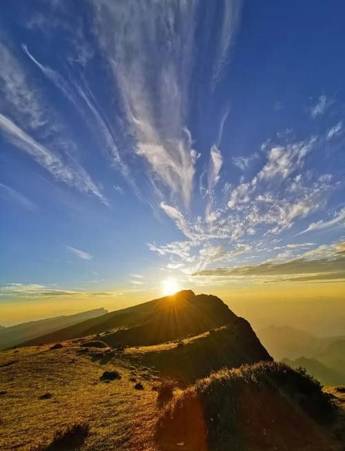 涼山州龍頭山 觀賞魚百科 第6張 涼山州龍頭山 涼山州龍頭山 觀賞魚百科 第6張