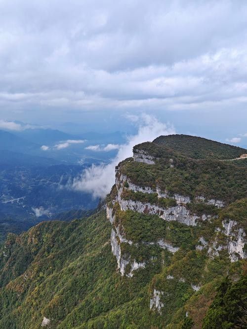 涼山州龍頭山 觀賞魚百科 第1張 涼山州龍頭山 涼山州龍頭山 觀賞魚百科 第1張