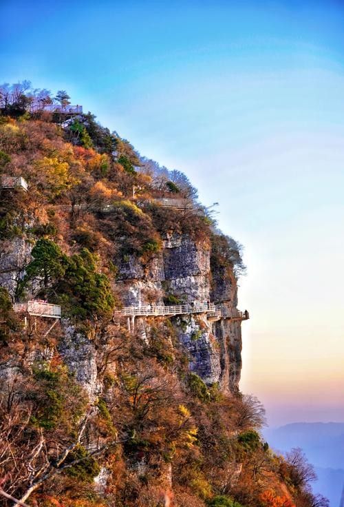 涼山州龍頭山 觀賞魚百科 第5張 涼山州龍頭山 涼山州龍頭山 觀賞魚百科 第5張