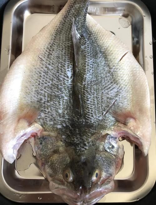 廣東特產(chǎn)魚推薦（廣東特產(chǎn)魚是廣東人餐桌上的常客）
