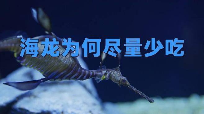 海龍魚盡量少吃的原因（海龍魚為什么盡量少吃）