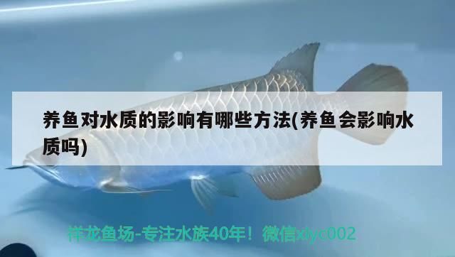 養魚對水質的影響有哪些方法(養魚會影響水質嗎)（養魚對水質的影響）