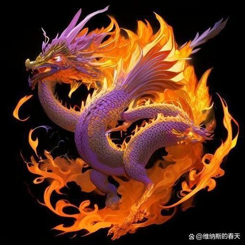 紫頂金龍圖片（紫頂金龍的市場價(jià)格）