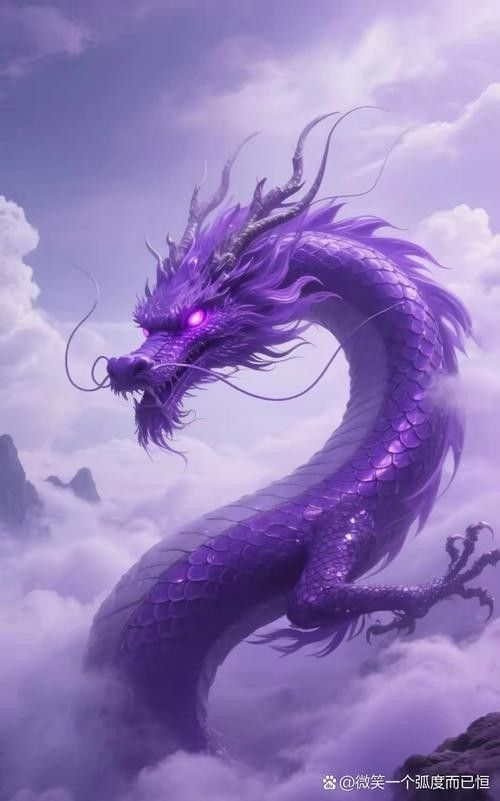 紫頂金龍圖片（紫頂金龍的市場價(jià)格）