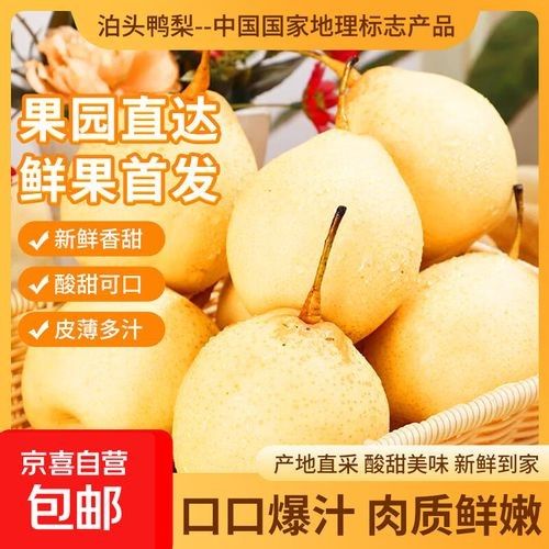 泊頭特產(chǎn)介紹（滄州泊頭十大特產(chǎn)）