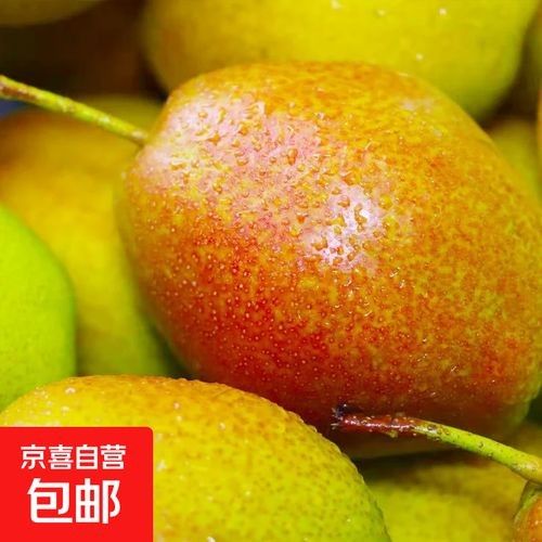 泊頭特產(chǎn)介紹（滄州泊頭十大特產(chǎn)）