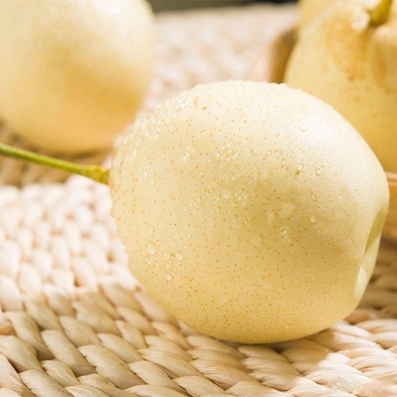 泊頭特產(chǎn)介紹（滄州泊頭十大特產(chǎn)）
