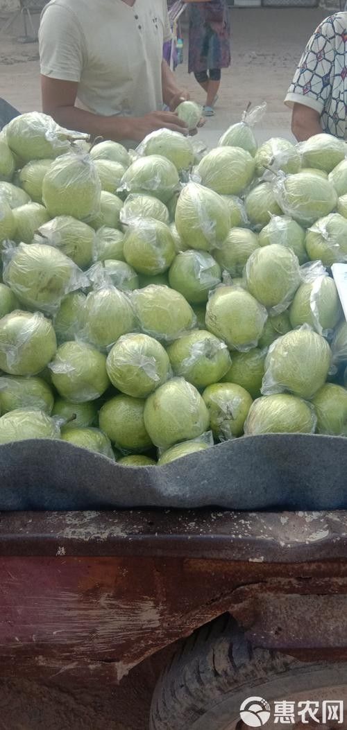 泊頭特產(chǎn)介紹（滄州泊頭十大特產(chǎn)）