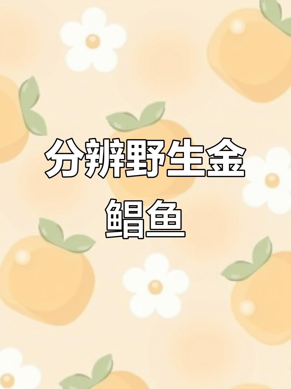 淡水金鯧魚（墨川繪事最近市場很多金鯧魚買了3條分享潮汕特色做法）