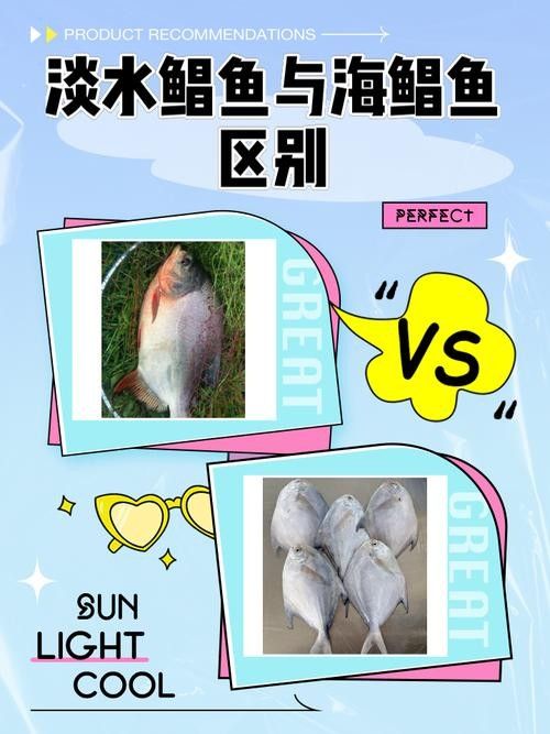 淡水金鯧魚（墨川繪事最近市場很多金鯧魚買了3條分享潮汕特色做法）