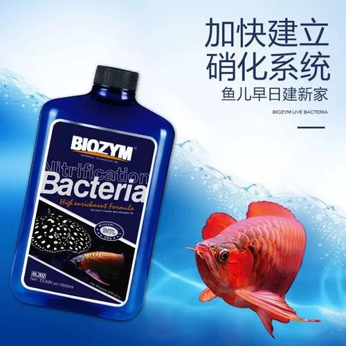 美國(guó)百因美龍魚（“美國(guó)百因美”品牌及其龍魚品牌及其龍魚相關(guān)產(chǎn)品信息）