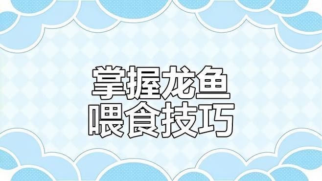龍魚不吃食的原因調（龍魚不吃食怎么辦）