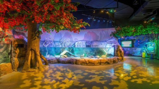 沈陽水族館：沈陽旅游攻略沈陽水族館