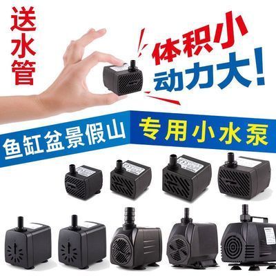 觀賞魚 常州哪里有賣魚缸和魚的市場(常州哪里有賣魚缸和魚的市場啊) 觀賞魚百科 常州哪里有賣魚缸和魚的市場(常州哪里有賣魚缸和魚的市場啊) 常州哪里有賣魚缸和魚的市場(常州哪里有賣魚缸和魚的市場啊) 觀賞魚百科