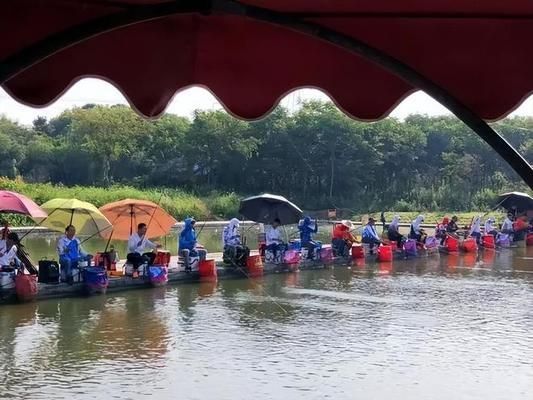 龍魚和虎魚怎樣搭配好養(yǎng)一點(diǎn)，當(dāng)龍魚和虎魚出現(xiàn)健康問題時，應(yīng)如何進(jìn)行有效的治療