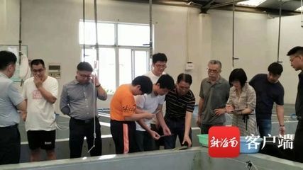 過背金龍魚的價格是多少：背金龍魚的飼養條件有什么特別要求？