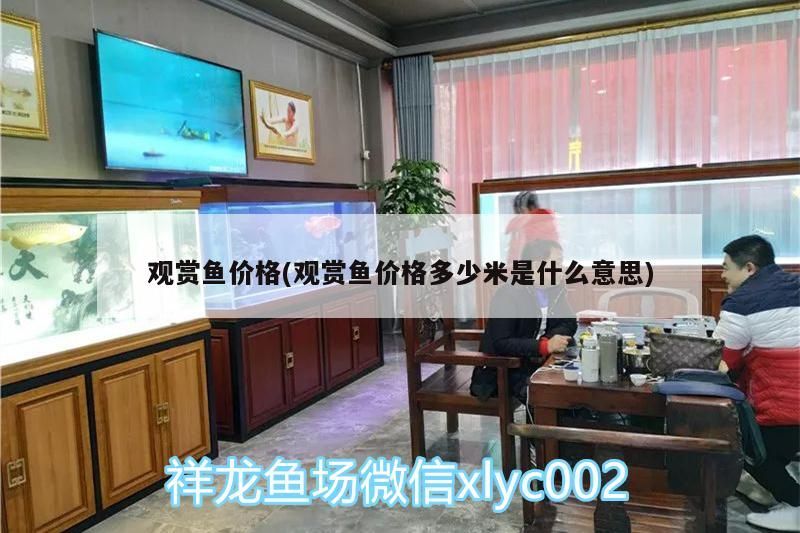 觀賞魚價格(觀賞魚價格多少米是什么意思)（觀賞魚價格昂貴的觀賞魚）