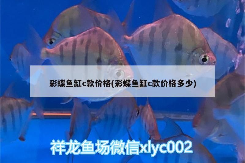 彩蝶魚缸c款價格(彩蝶魚缸c款價格多少)（彩蝶魚缸c款價格、彩蝶魚缸c款價格多少）