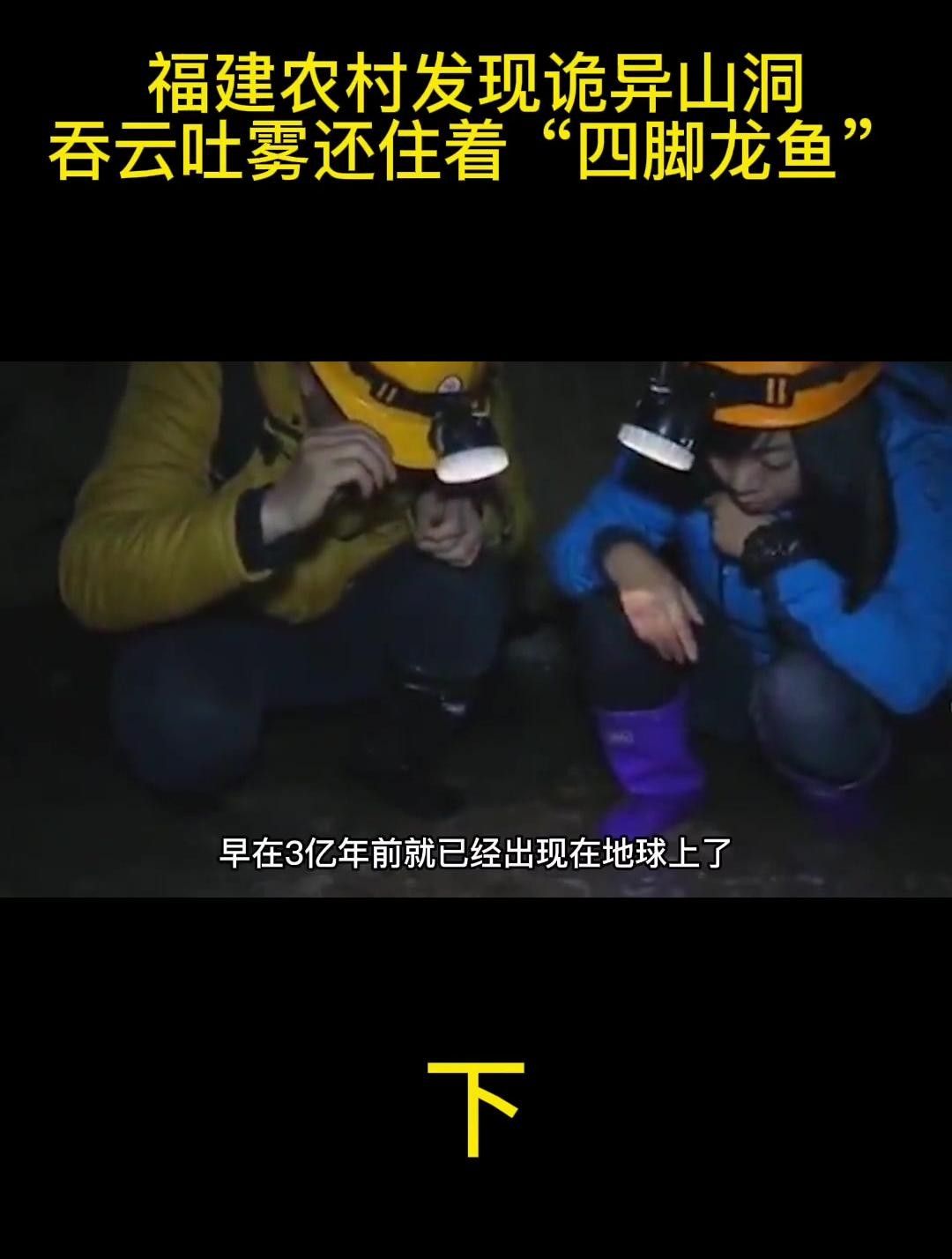四腳龍魚圖片（四腳龍魚的飼養方法）