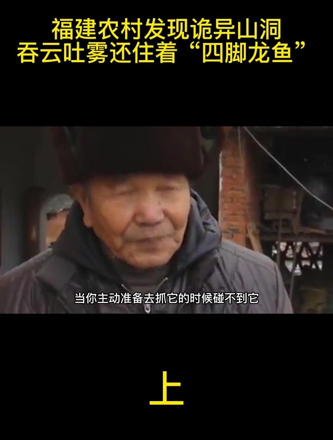 四腳龍魚圖片（四腳龍魚的飼養方法）