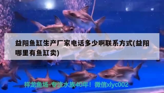 益陽魚缸生產廠家電話多少啊聯系方式(益陽哪里有魚缸賣)（益陽魚缸生產廠家電話多少）