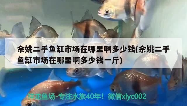 余姚二手魚缸市場在哪里啊多少錢(余姚二手魚缸市場在哪里啊多少錢一斤)（余姚二手魚缸市場在哪里余姚二手魚缸市場在哪里啊）