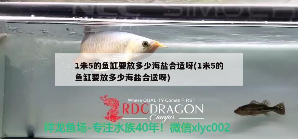 魚缸用增氧泵價格是多少:魚缸增氧機-xtrac增氧機-xtrac增氧機 1米5的魚缸要放多少海鹽合適呀(1米5的魚缸要放多少海鹽合適呀) 觀賞魚百科 1米5的魚缸要放多少海鹽合適呀(1米5的魚缸要放多少海鹽合適呀) 1米5的魚缸要放多少海鹽合適呀(1米5的魚缸要放多少海鹽合適呀) 觀賞魚百科