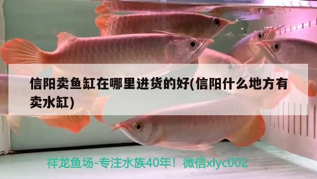 信陽賣魚缸在哪里進貨的好(信陽什么地方有賣水缸)