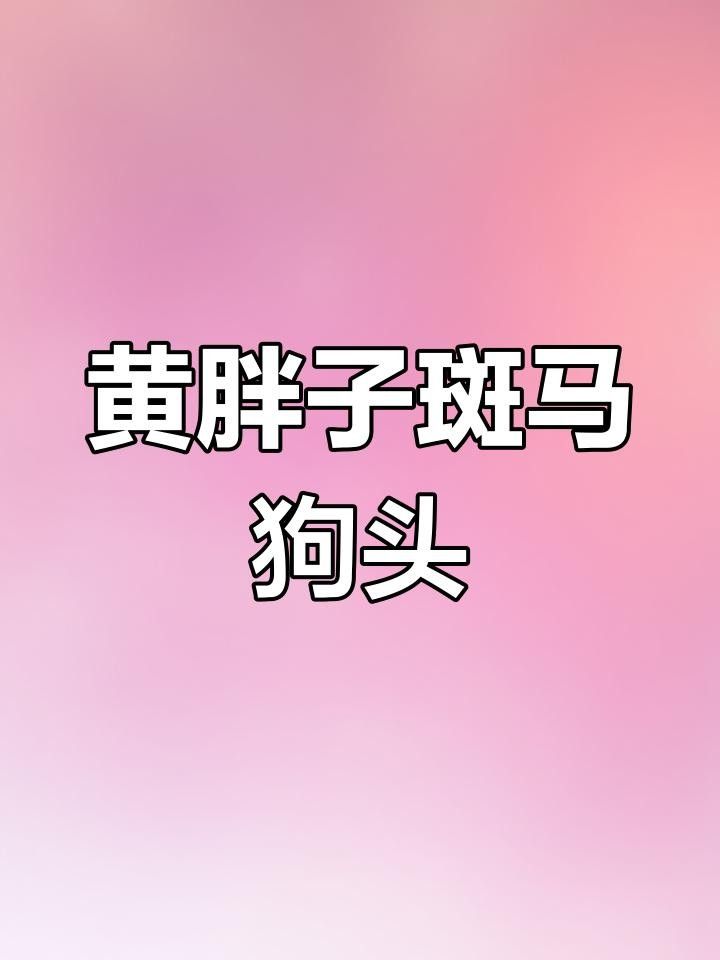 狗頭魚是什么魚（狗頭魚是什么魚曉糖糖）
