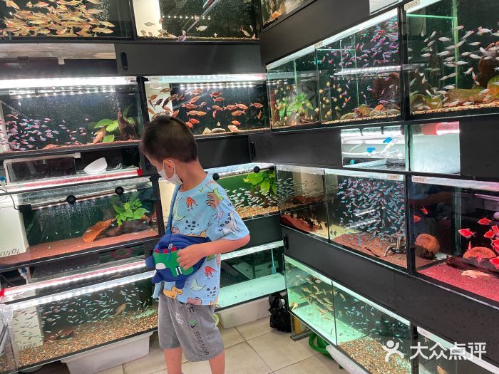 芳村花鳥魚蟲新世界幾點關門錦鯉市場（廣州芳村花鳥魚蟲新世界）