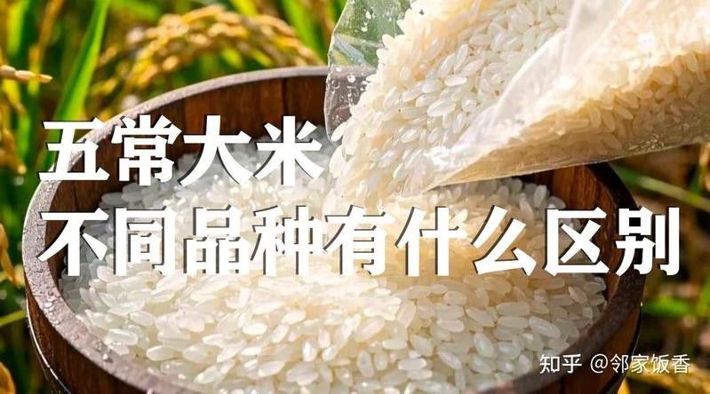 金龍魚五常基地原香稻2號（金龍魚五常基地原香稻2號是什么？）