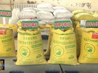 環縣龍魚（甘肅省慶陽市環縣潘龍魚）