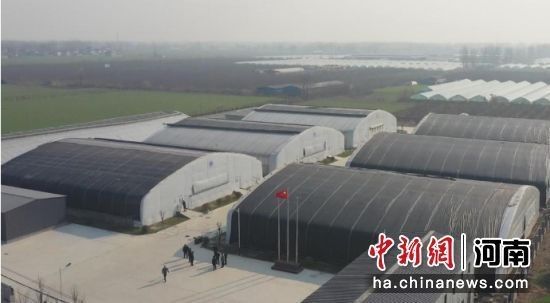 沈丘賣魚市場（沈丘賣魚市場的魚價如何？）