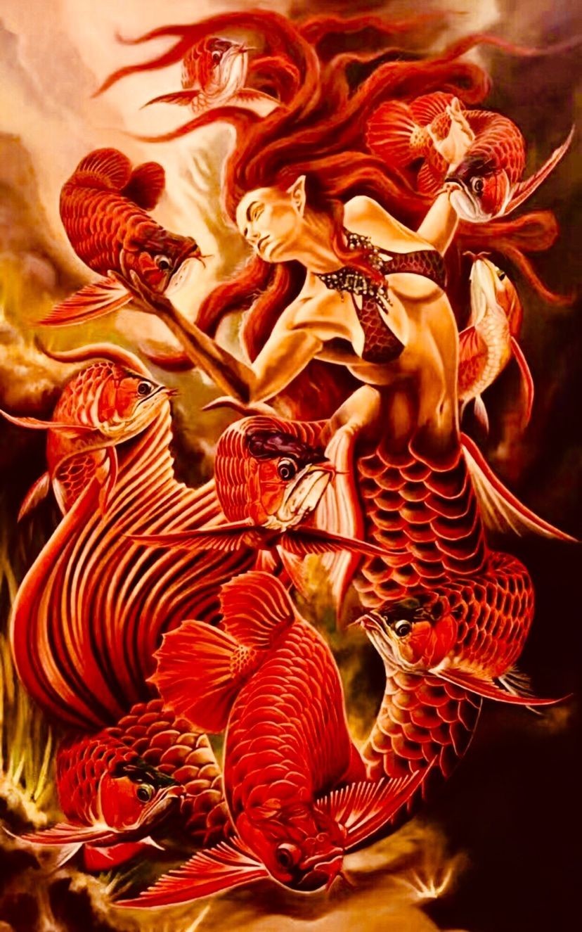 漳州水族館:喂食龍魚小竅門
