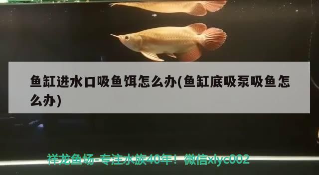 魚(yú)缸對(duì)角流水(魚(yú)缸水流死角)