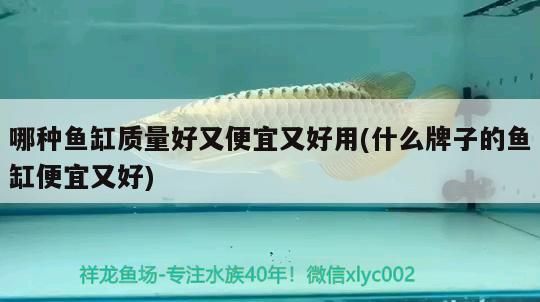 哪種魚缸質量好又便宜又好用(什么牌子的魚缸便宜又好)（什么牌子的魚缸好）