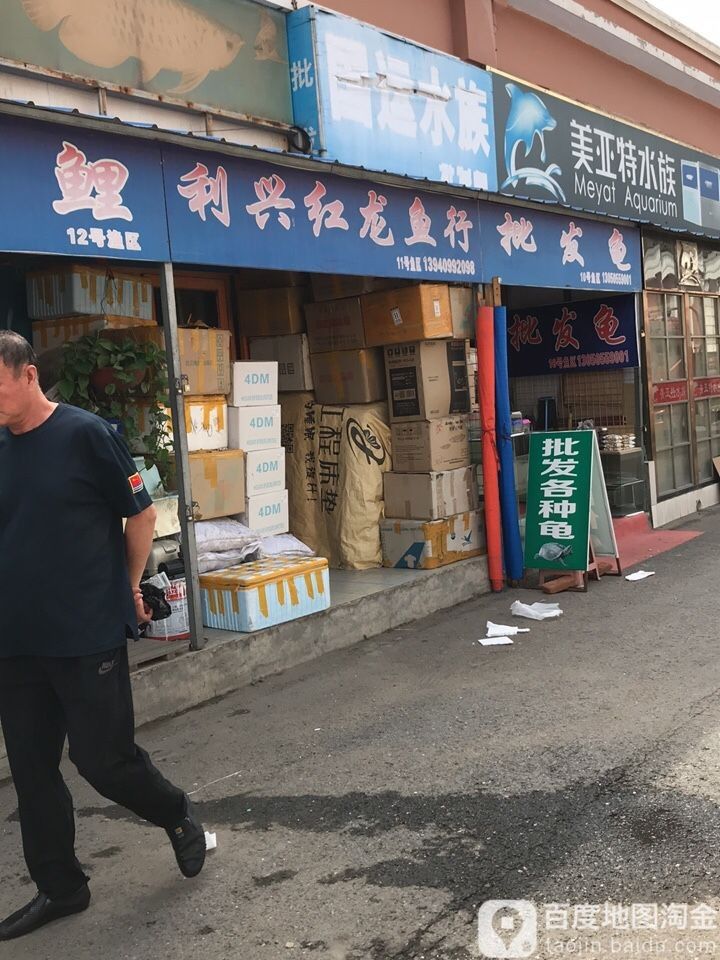 紅龍魚市場地址在哪里（<strong><mark>北京</mark></strong>哪里有紅龍魚市場）