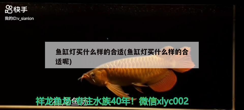 魚缸燈買什么樣的合適(魚缸燈買什么樣的合適呢)（金魚缸養金魚用什么燈好看金魚缸養金魚用什么燈好看）