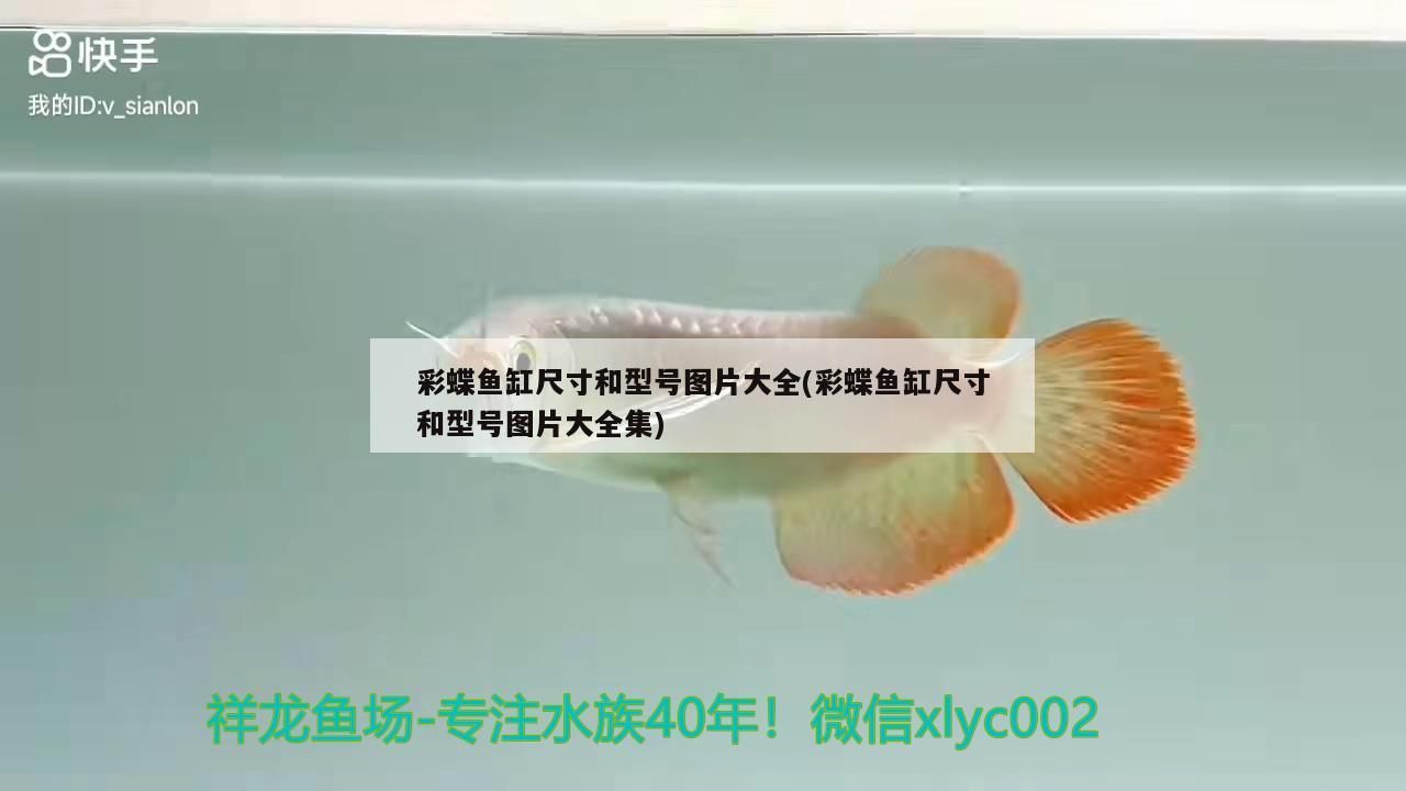 彩蝶魚缸尺寸和型號圖片大全(彩蝶魚缸尺寸和型號圖片大全集)（彩蝶魚缸尺寸和型號圖片大全）