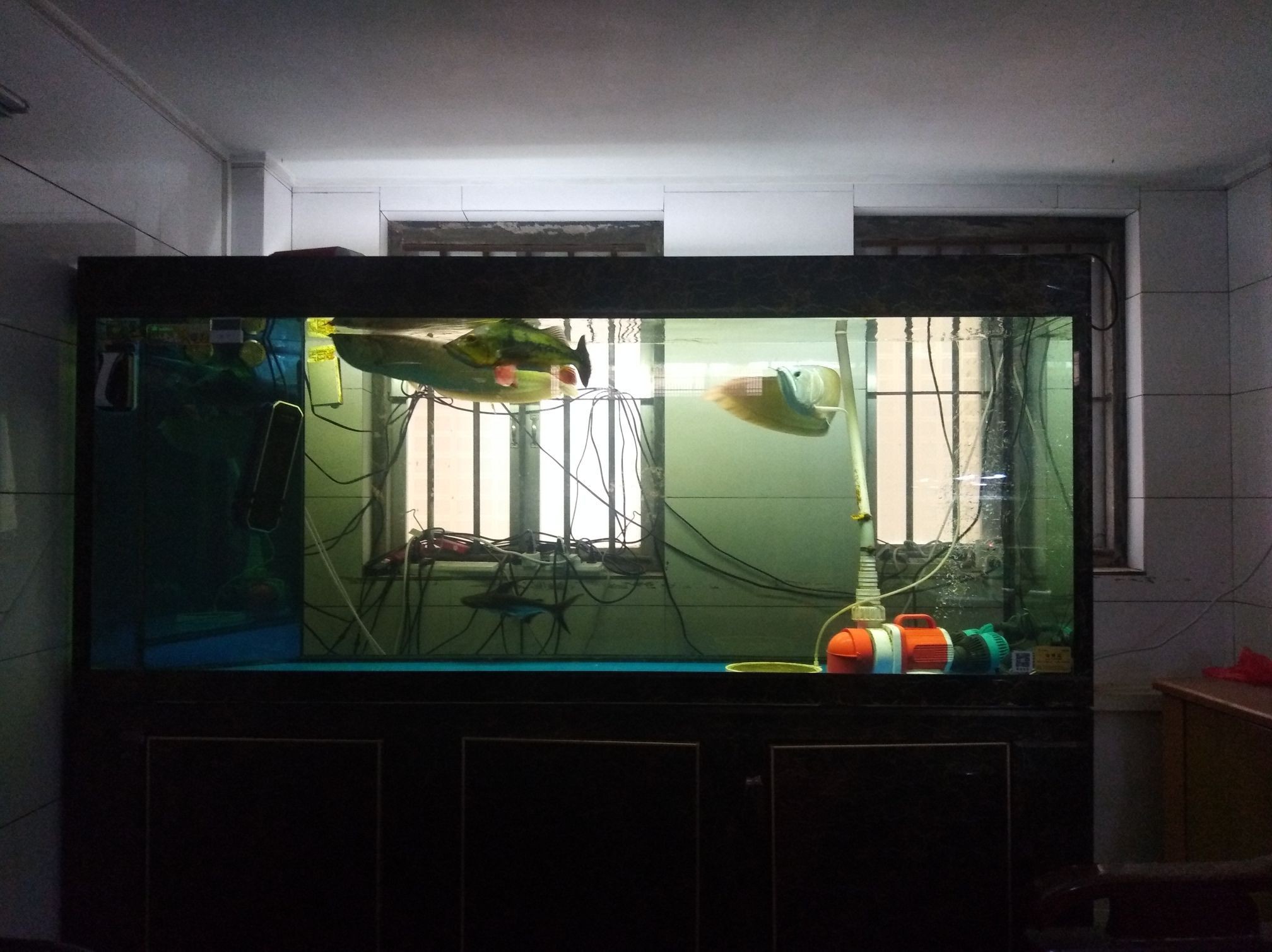荊門水族館聯(lián)合用藥(荊門水族館聯(lián)合用藥方法) 觀賞魚百科 第1張 荊門水族館聯(lián)合用藥(荊門水族館聯(lián)合用藥方法) 荊門水族館聯(lián)合用藥(荊門水族館聯(lián)合用藥方法) 觀賞魚百科 第1張
