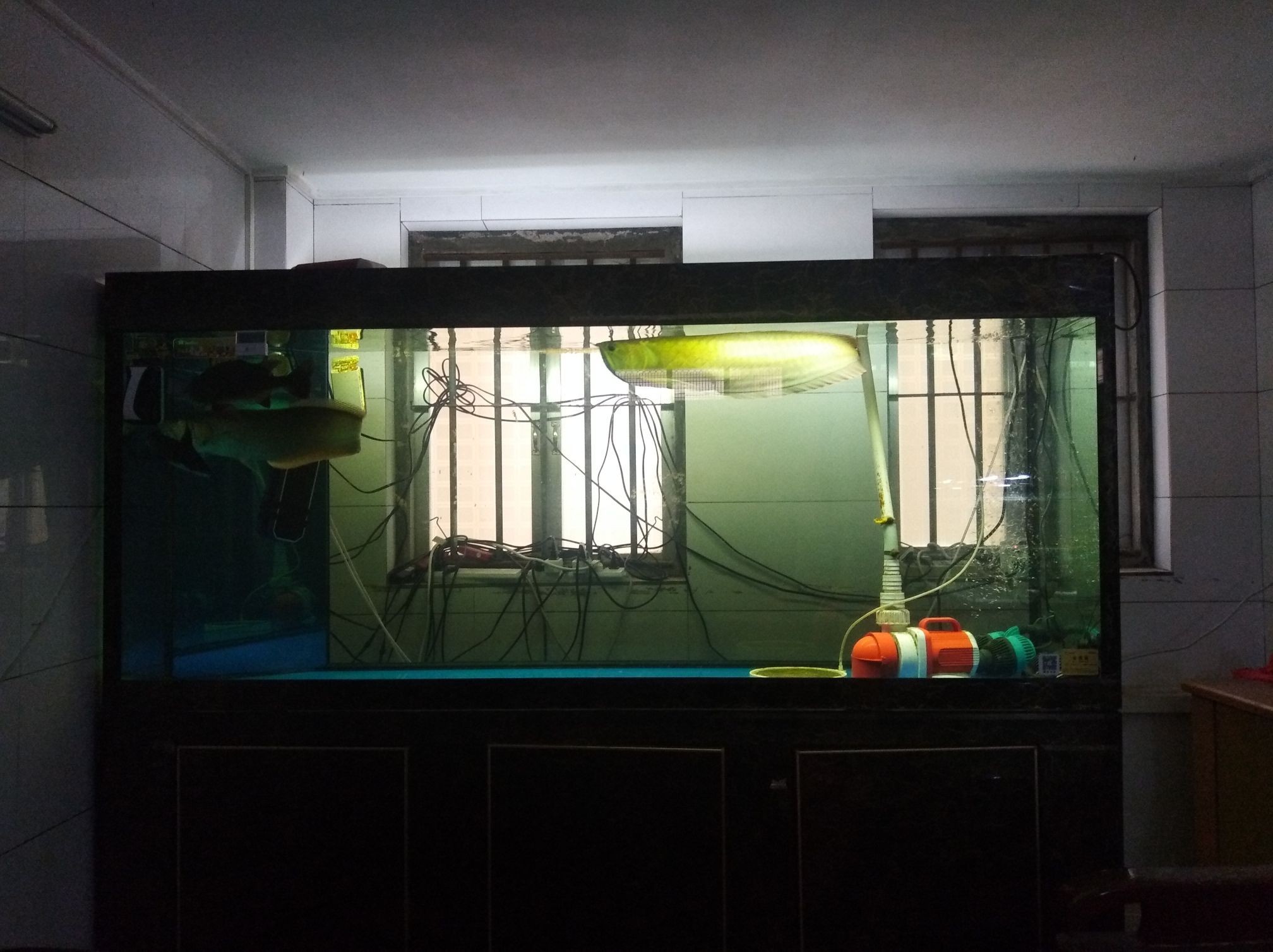 荊門水族館聯(lián)合用藥(荊門水族館聯(lián)合用藥方法) 觀賞魚百科 第2張 荊門水族館聯(lián)合用藥(荊門水族館聯(lián)合用藥方法) 荊門水族館聯(lián)合用藥(荊門水族館聯(lián)合用藥方法) 觀賞魚百科 第2張
