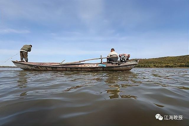 烏蘇里江四大名魚 烏蘇里江四大名魚 觀賞魚百科 第4張