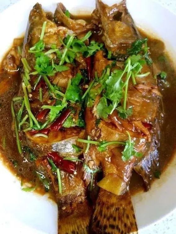 烏蘇里江四大名魚 烏蘇里江四大名魚 觀賞魚百科 第3張