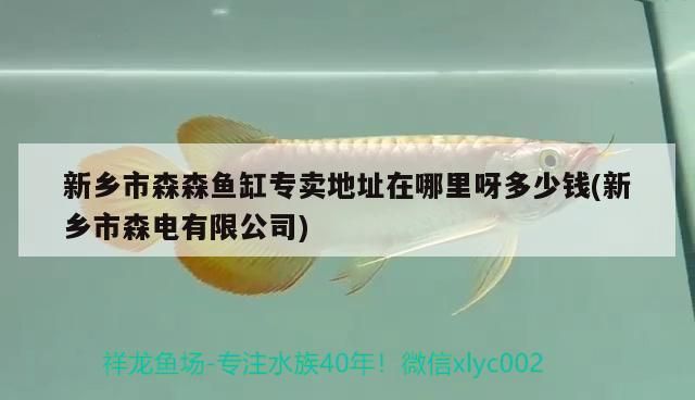 新鄉市森森魚缸專賣地址在哪里呀多少錢(新鄉市森電有限公司)（新鄉市森森魚缸專賣地址）