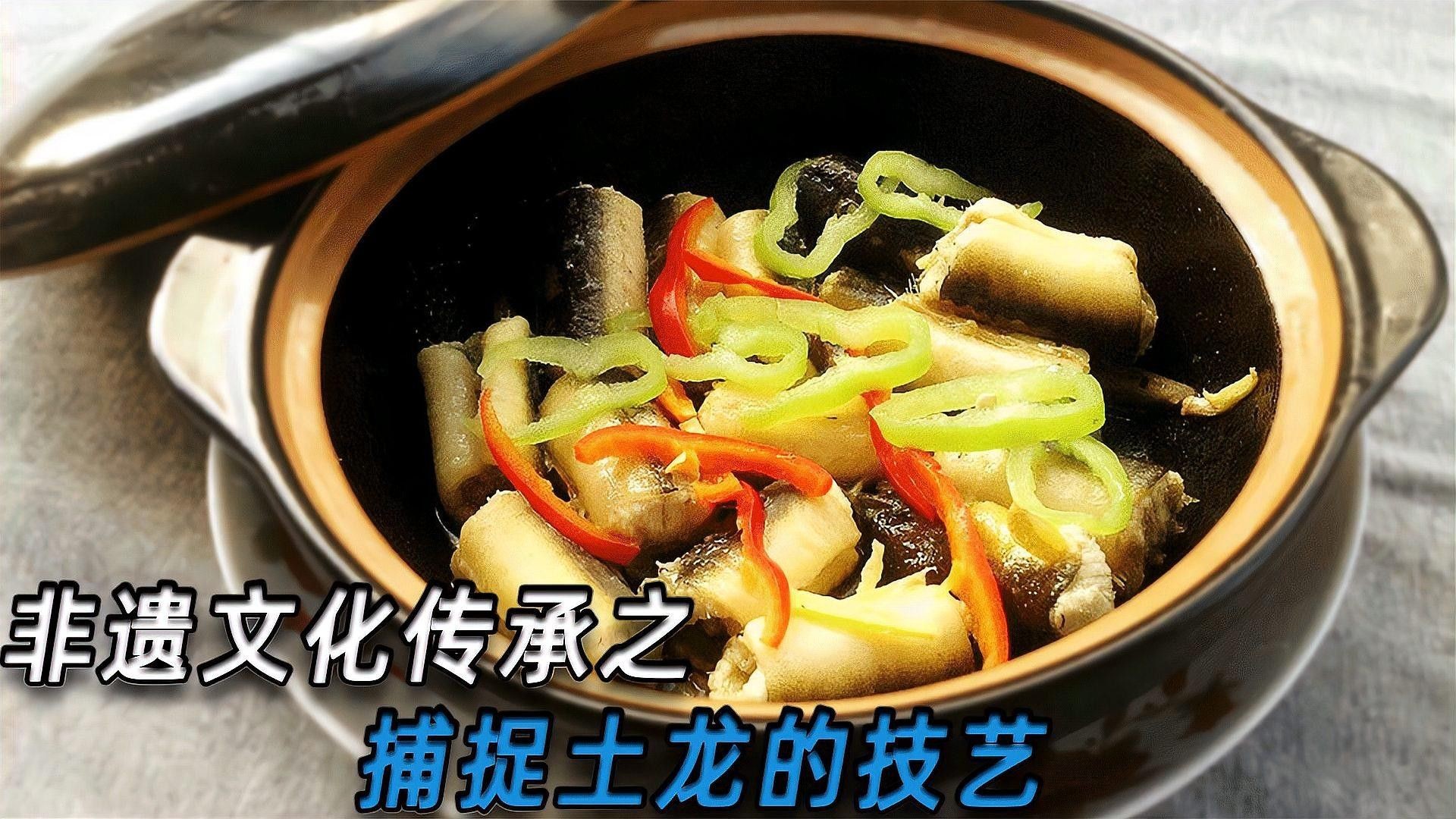 土龍是什么魚（土龍在中醫藥中的用途有哪些土龍在中醫藥中的用途）