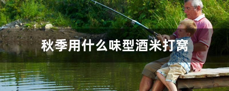 本溪魚缸維護（上海哪個花鳥市場熱帶魚多些）（上海本溪魚缸維護與上海花鳥市場熱帶魚比較）